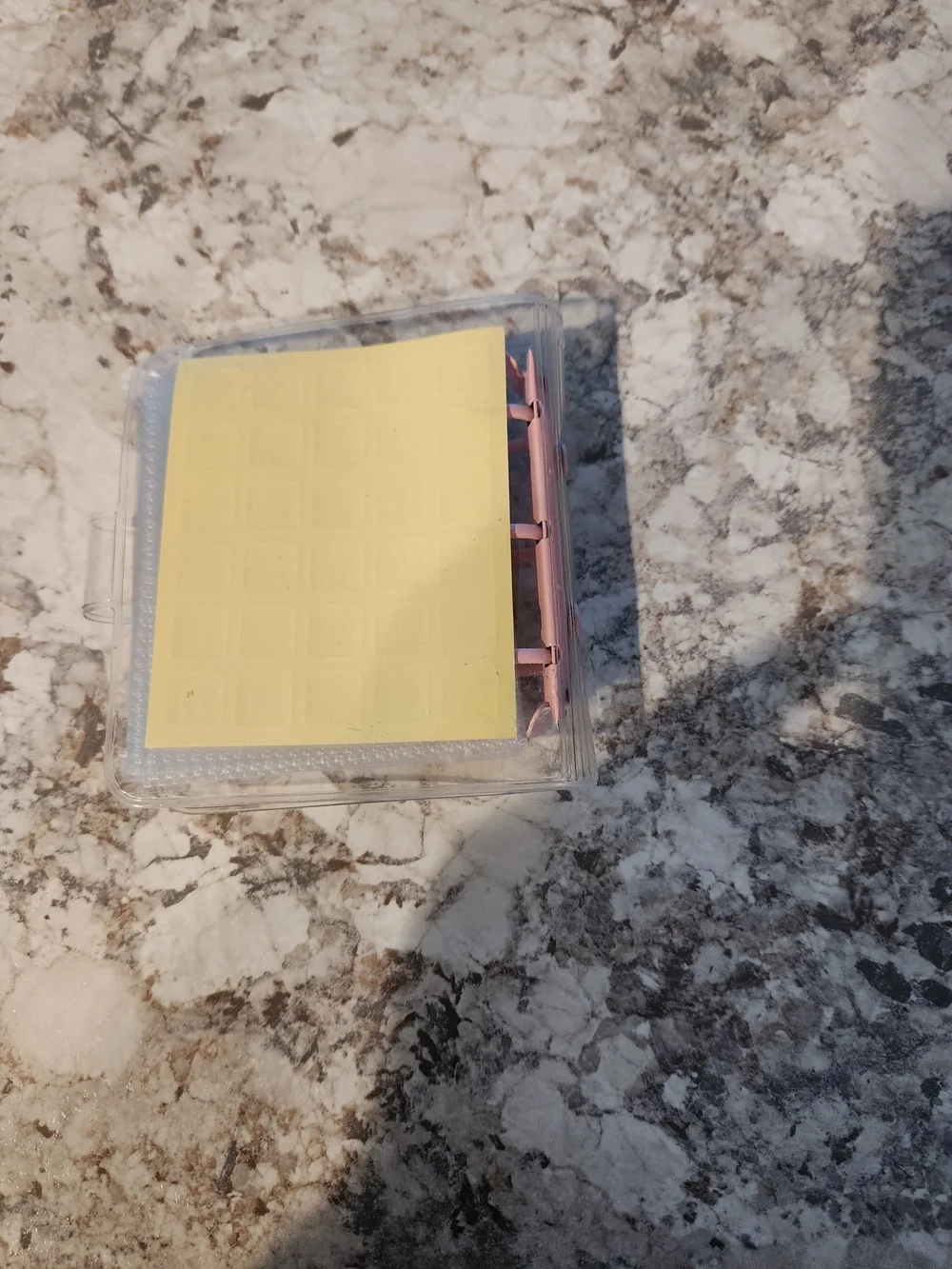 $1000 Savings Challenge Clear Binder with Pink Accents
